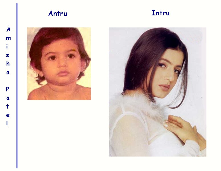 IPB Image