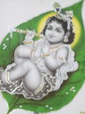 Lord Krishna