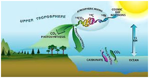 Carbon-dating