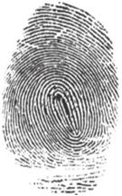 Finger Print