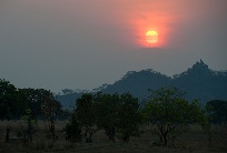 Parched Soil