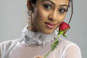 Sadha